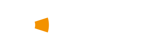 Cost of politics